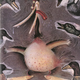 “The Really Ugly Duckling” (Illustration: Lane Smith)
